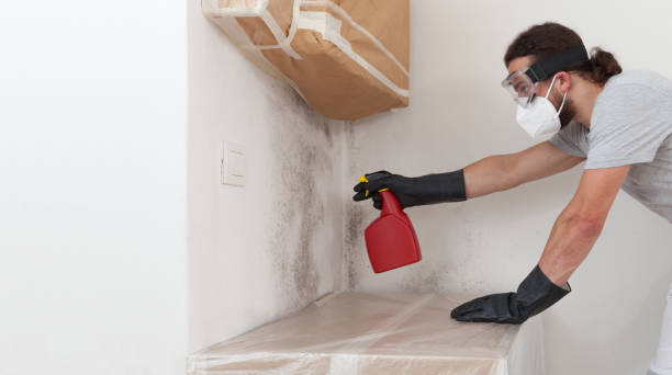 Professional Basement Mold Remediation technician working in Thomasville, NC