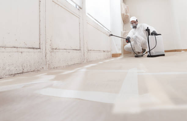 24/7 Emergency Basement Mold Remediation experts in Thomasville, NC