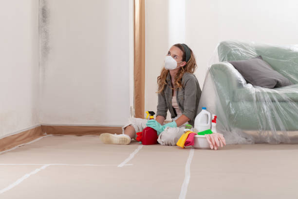 Reliable Basement Mold Remediation contractor in Thomasville, NC by Mold Remediation HQ
